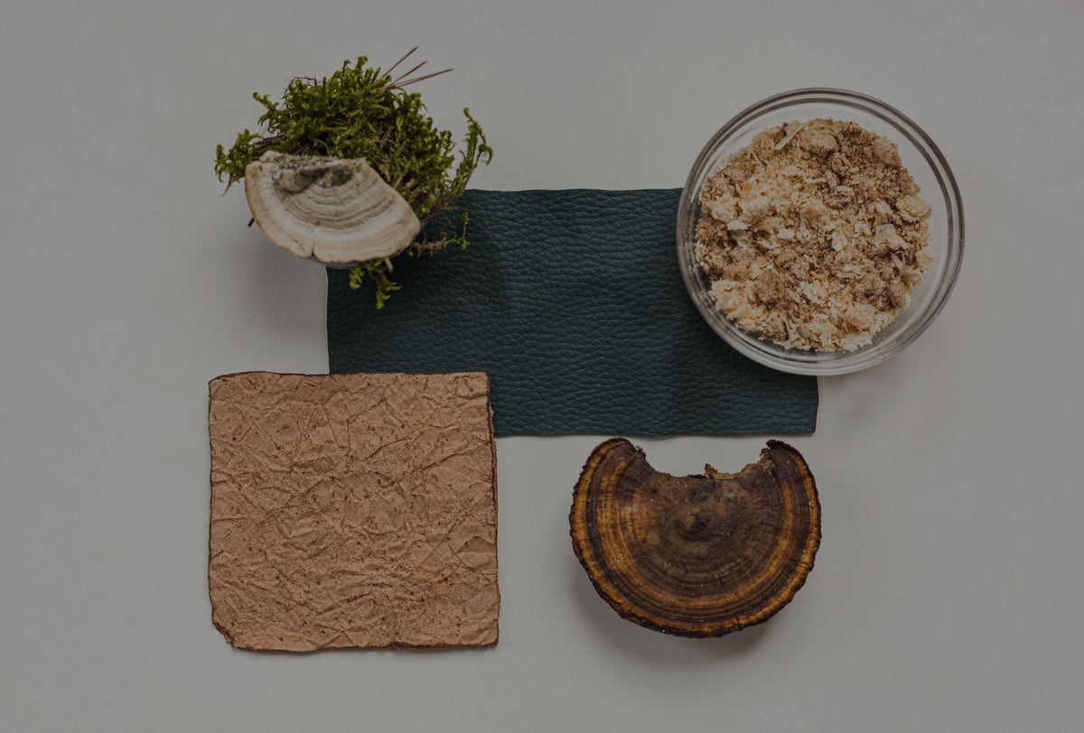 Mushroom-based material samples laid out beside a fungus and plant fibres