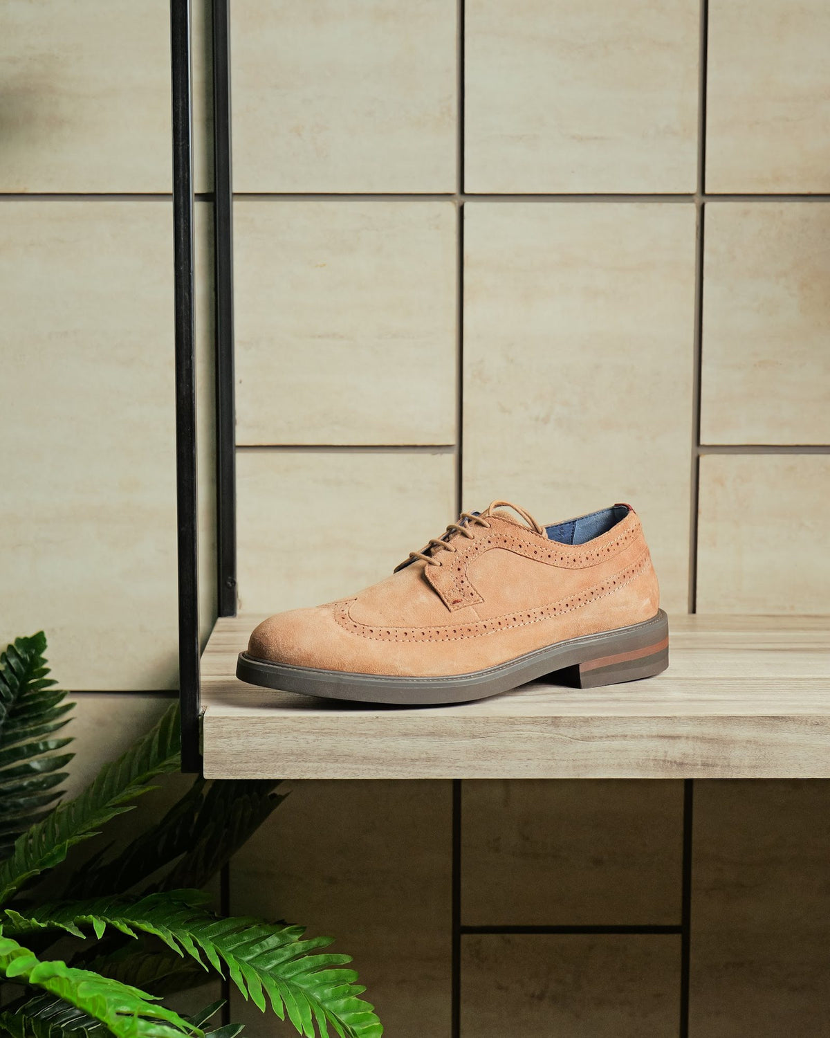 A suede longwing brogue on a display shelf